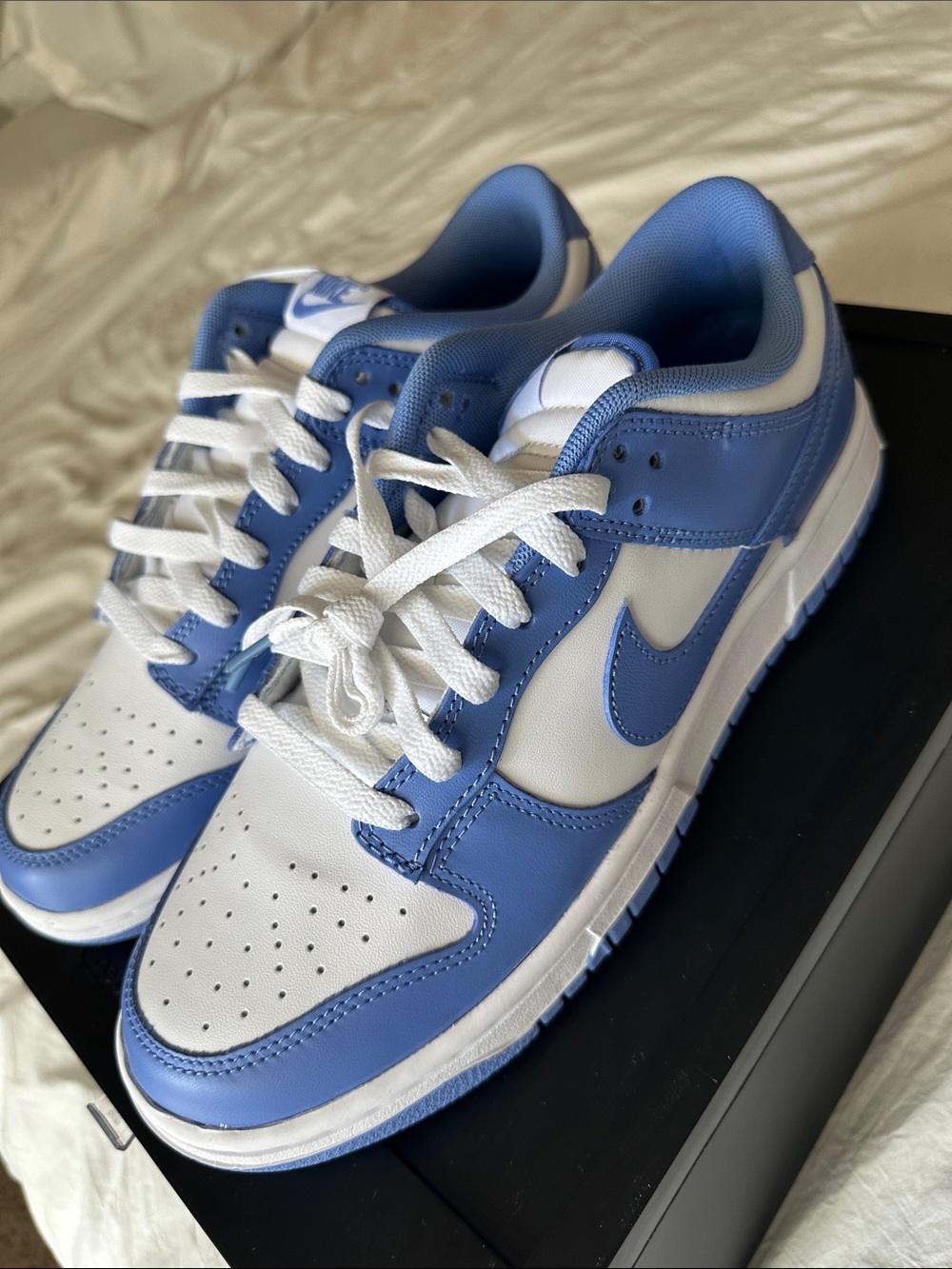 University Blue Nike Dunk